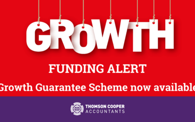 What is the Growth Guarantee Scheme?